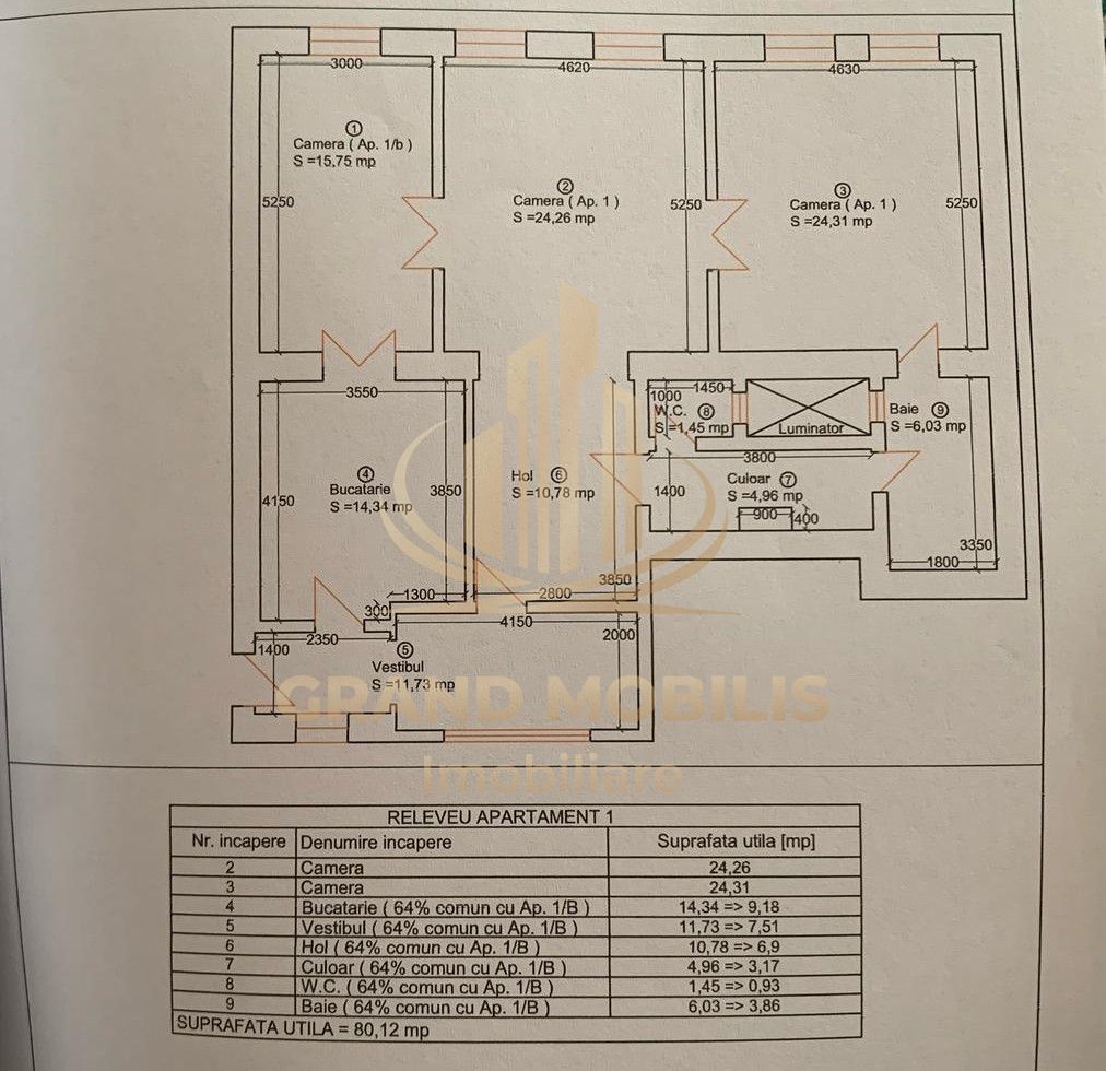 Apartament în imobil istoric – 120 mp utili | Elisabetin – Bălcescu - imaginea 11