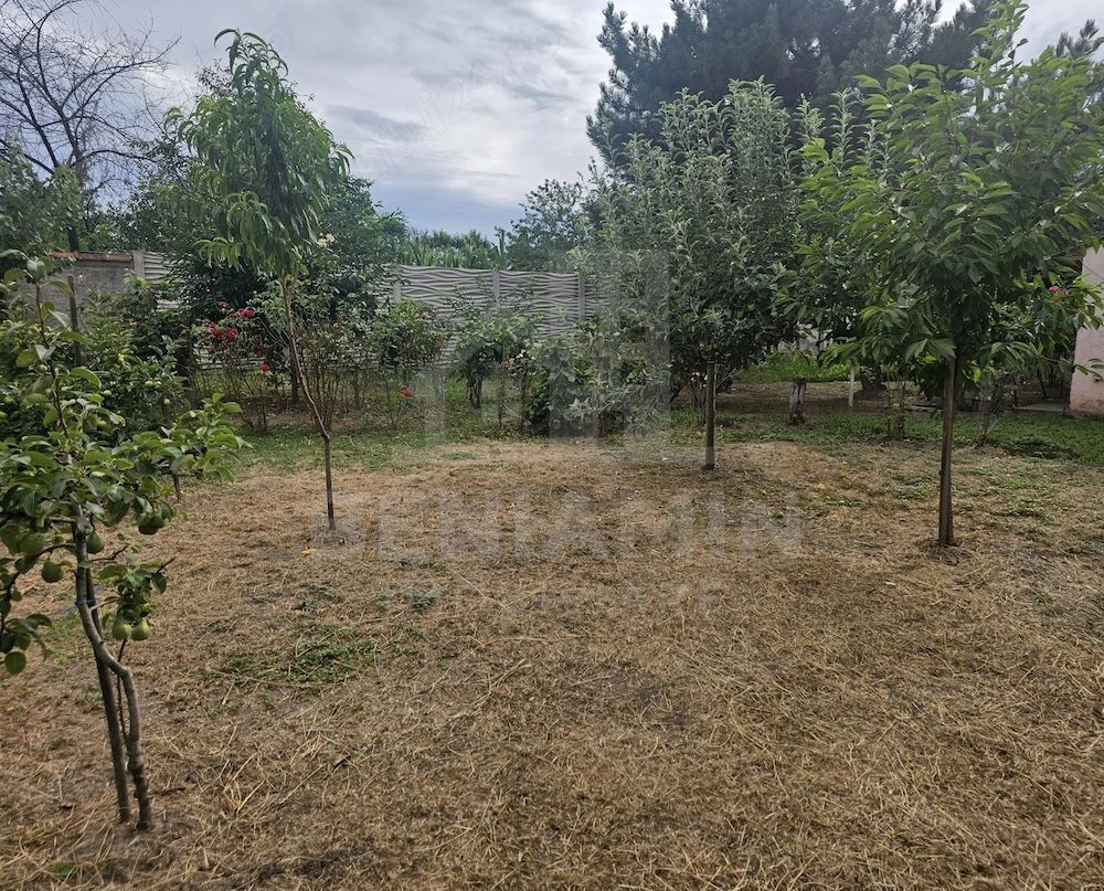 Casa-cu-Teren-Generos-(625 mp)-Panouri-Solare – Bariera-Valcii - imaginea 3