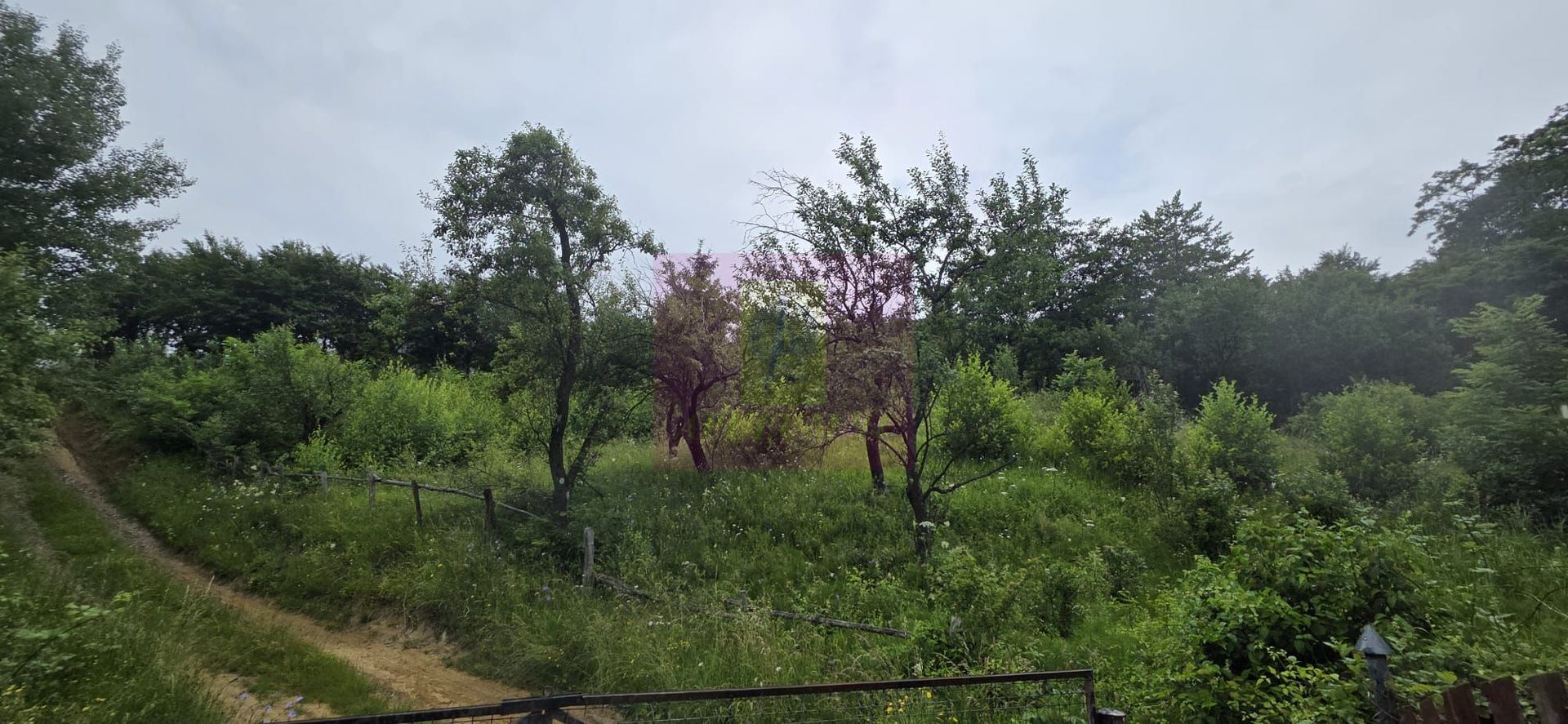 Teren intravilan 4000 mp in Breaza, Nistoresti