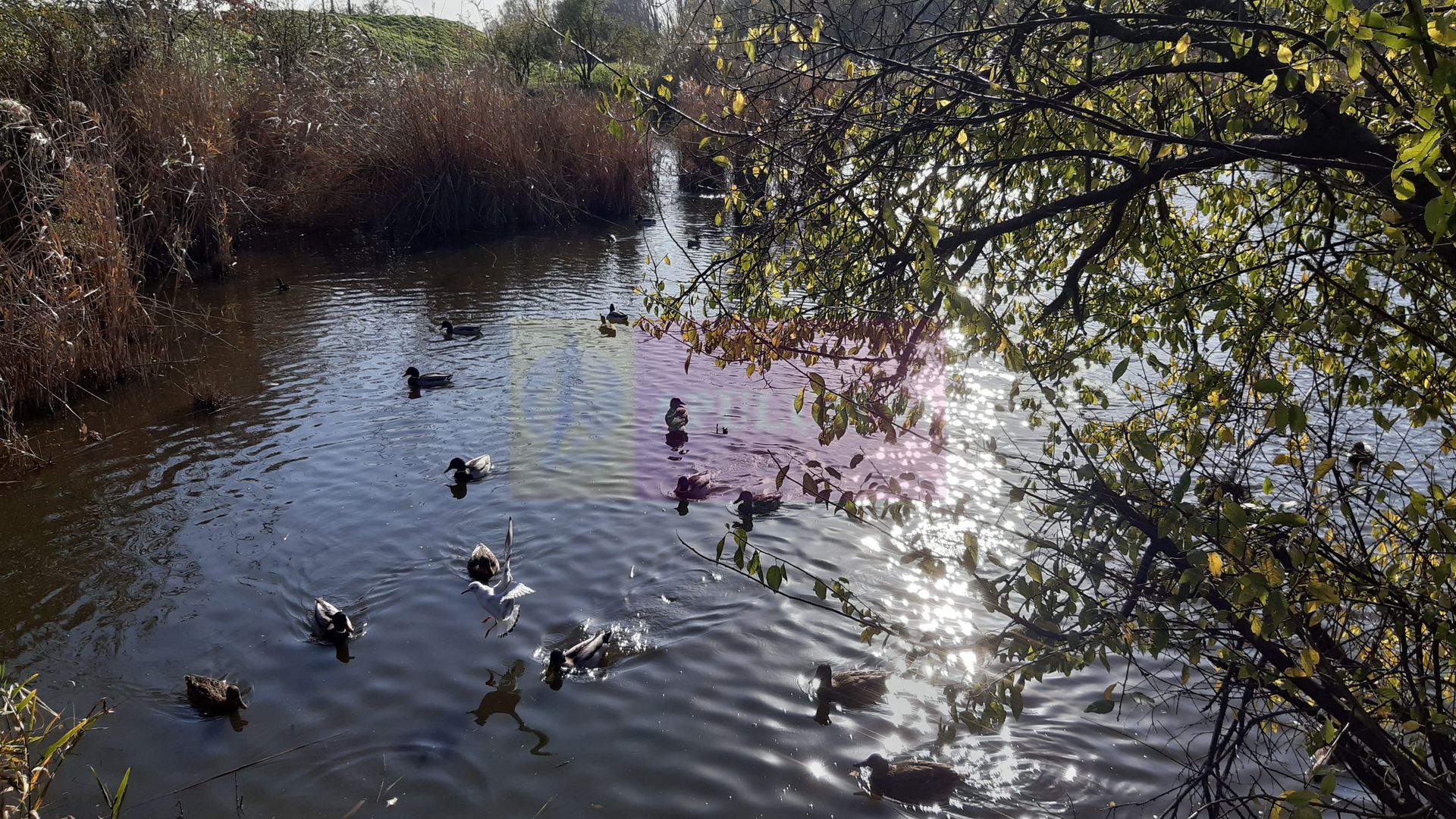 Apartament 4 Camere Constanța Tomis Nord