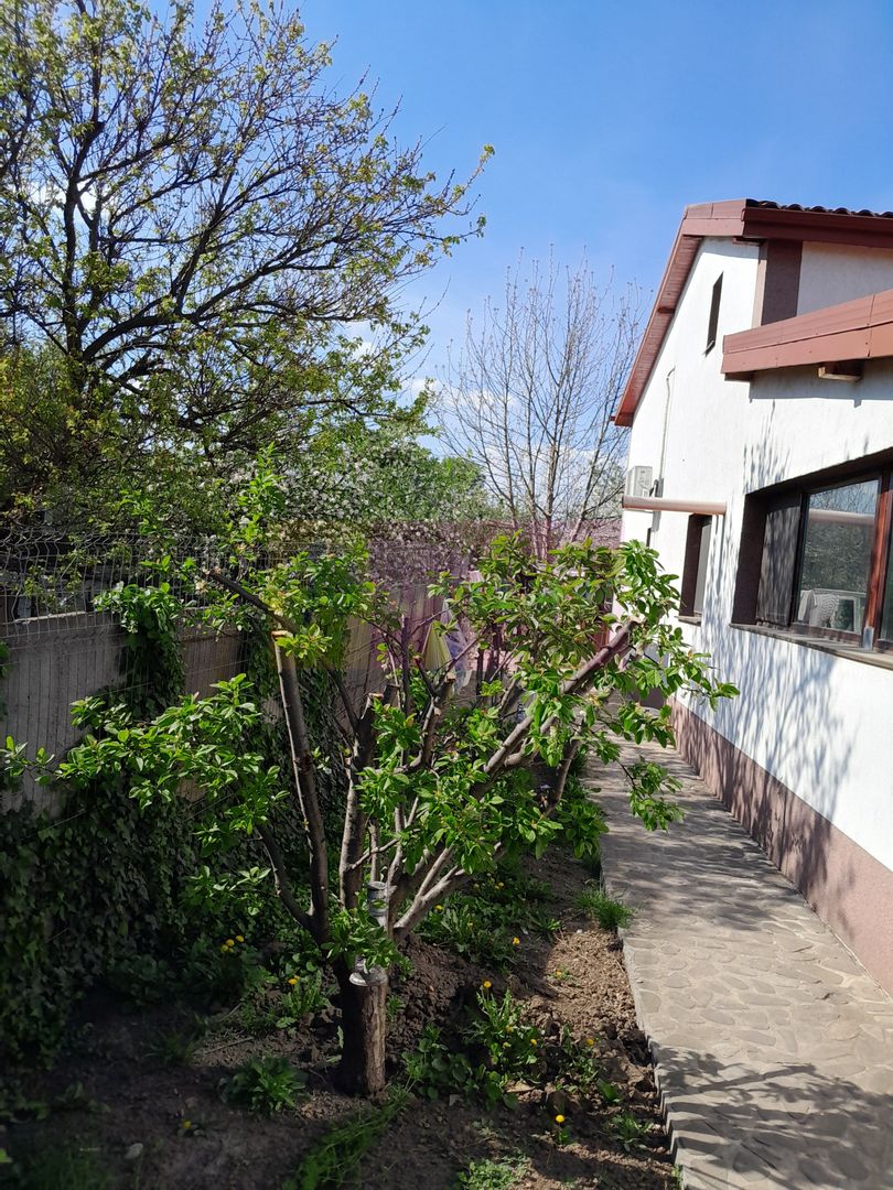 DE VANARE CASA P+M 5 CAM  GIURGIU