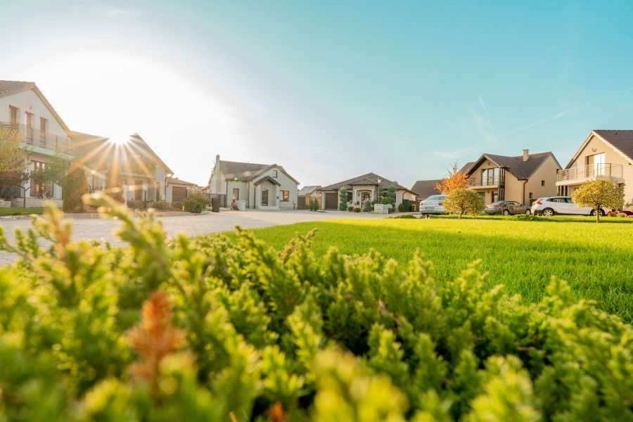 Două parcele alăturate, Westfield Arad