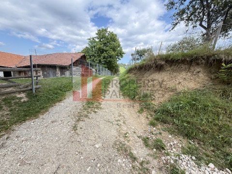 Teren intravilan 3.000 mp cu casă tradițională – Bran, sat Poarta - imaginea 8