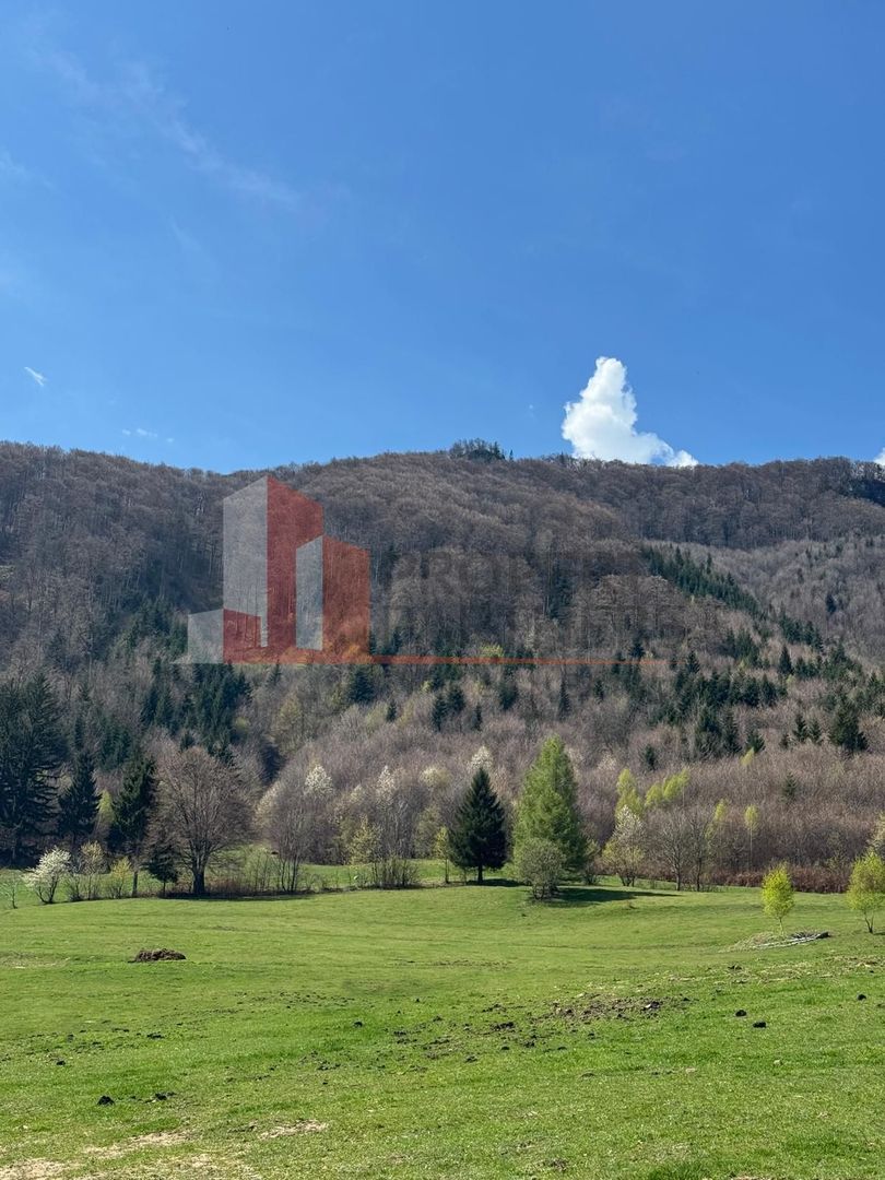 Terenuri Bran - Predelut  Priveliște către Bucegi și Postăvaru - imaginea 12