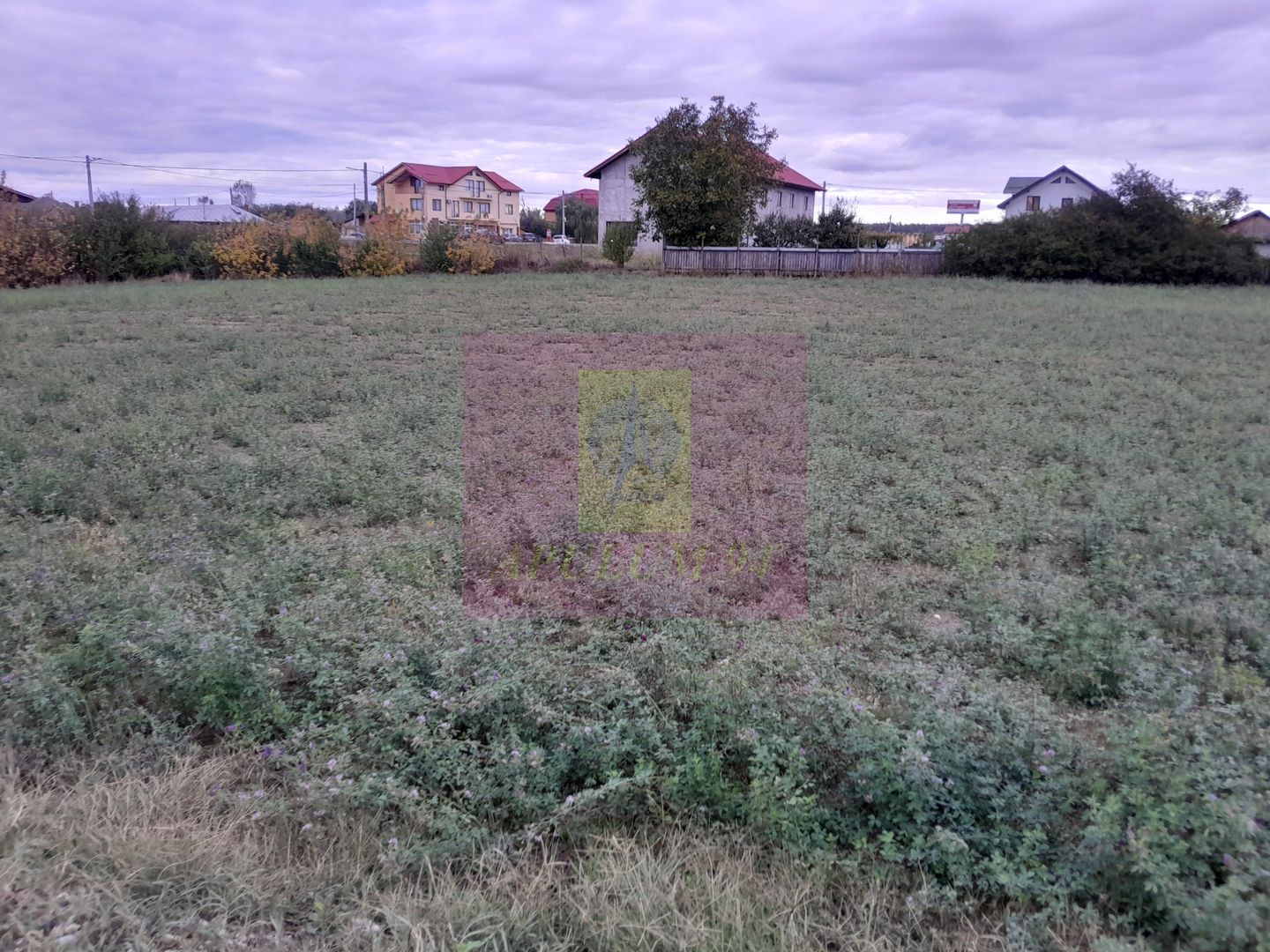 COSERENI (IL) - SE VINDE TEREN 2000 MP LA SOS BUCURESTI -URZICENI - imaginea 13
