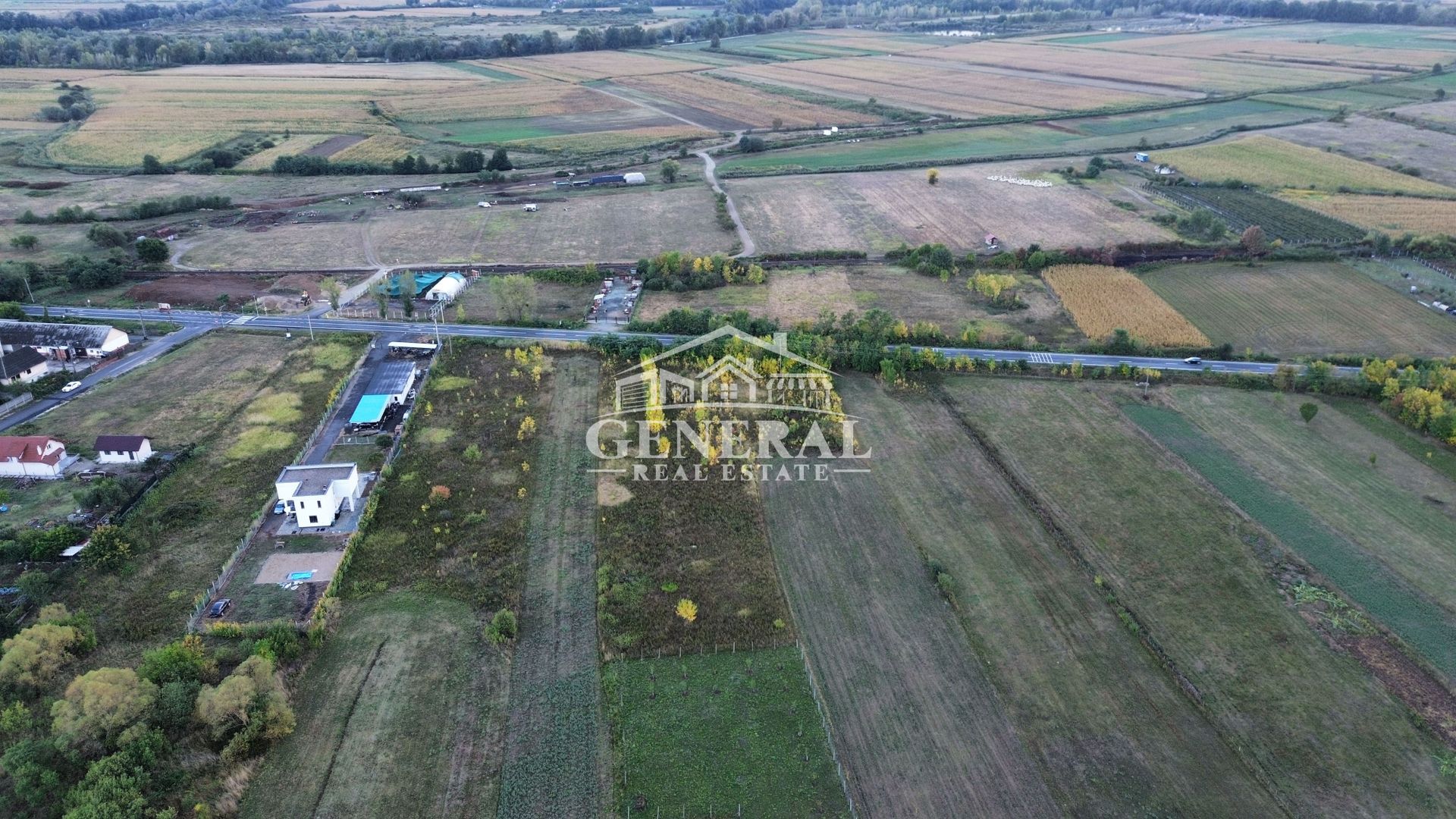 Teren de vanzare 4.000m2 in Cicarlau la Drum European E58 BM-SM KM-15 - imaginea 9