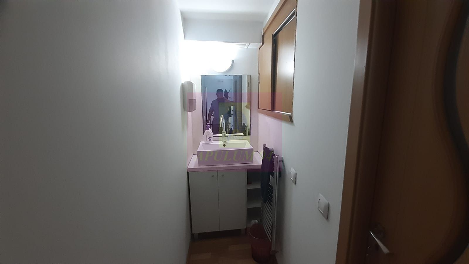 Spatiu Comercial Stradal Șoseaua Colentina zona Teiul Doamnei Suveica - imaginea 10