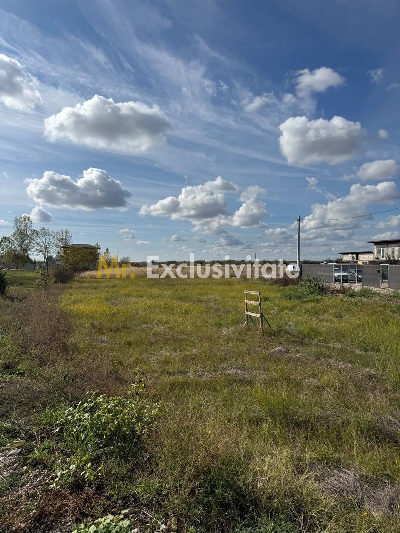 TEREN INTRAVILAN 3 LOTURI | 1.334 MP | BRADU | POTENȚIAL INVESTIȚIONAL - imaginea 5