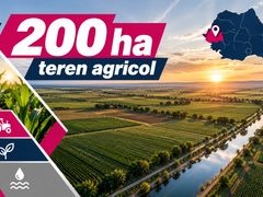 200 ha teren agricol de vanzare in Arad