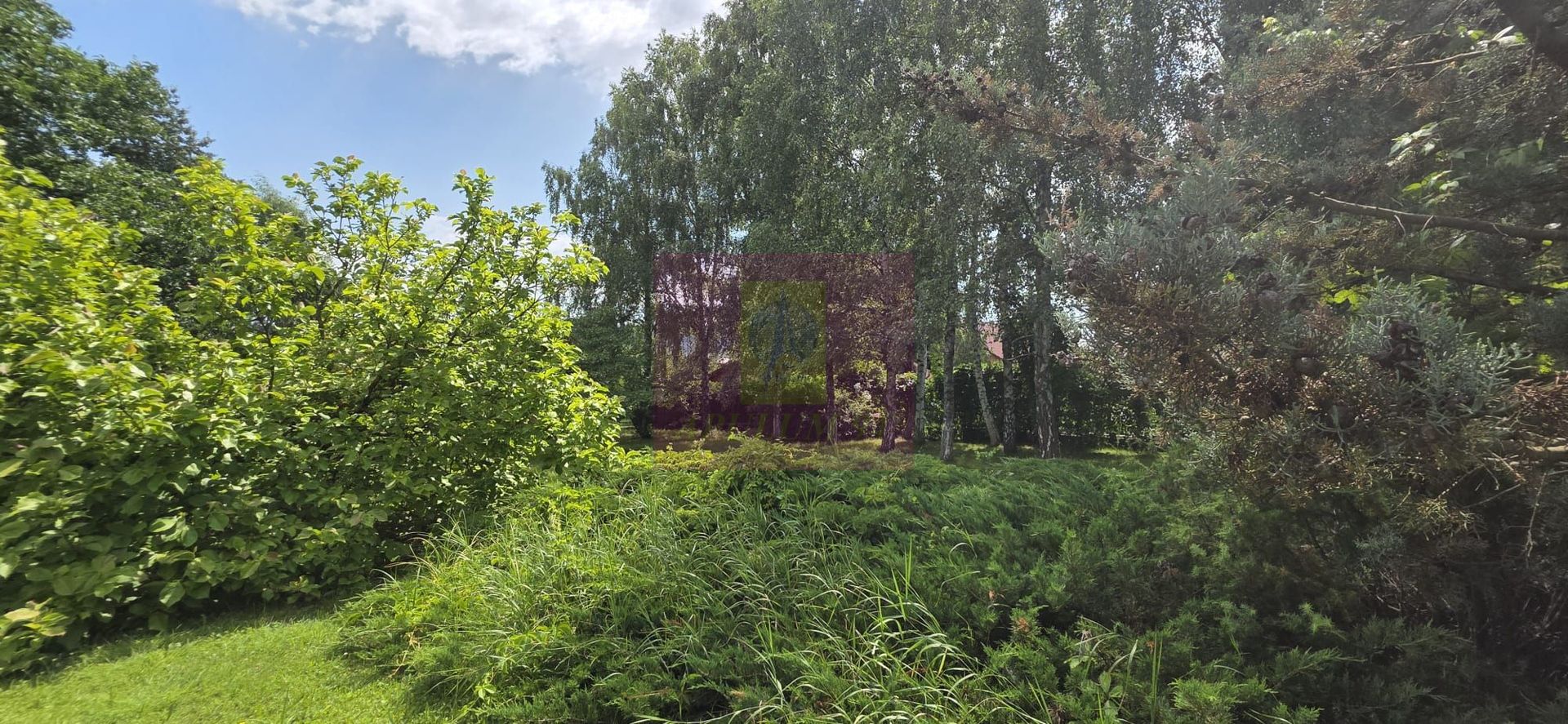Vila de lux de vanzare in Breaza - imaginea 69
