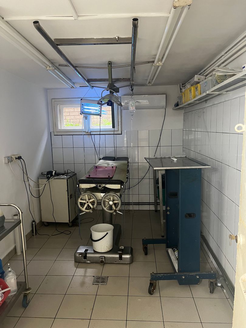 Imobil multifuncțional, 450 mp utili, teren 640 mp, Torontalului - imaginea 5