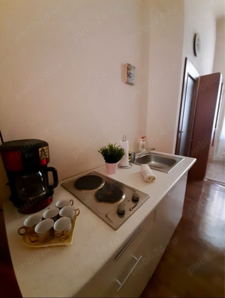 APARTAMENT ULTRACENTRAL IN PIAȚA VICTORIEI - 420 eur - imaginea 5