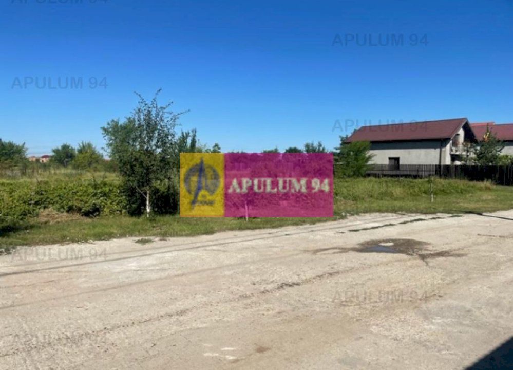 Teren Clinceni- Putu Olteni- Ortansei.