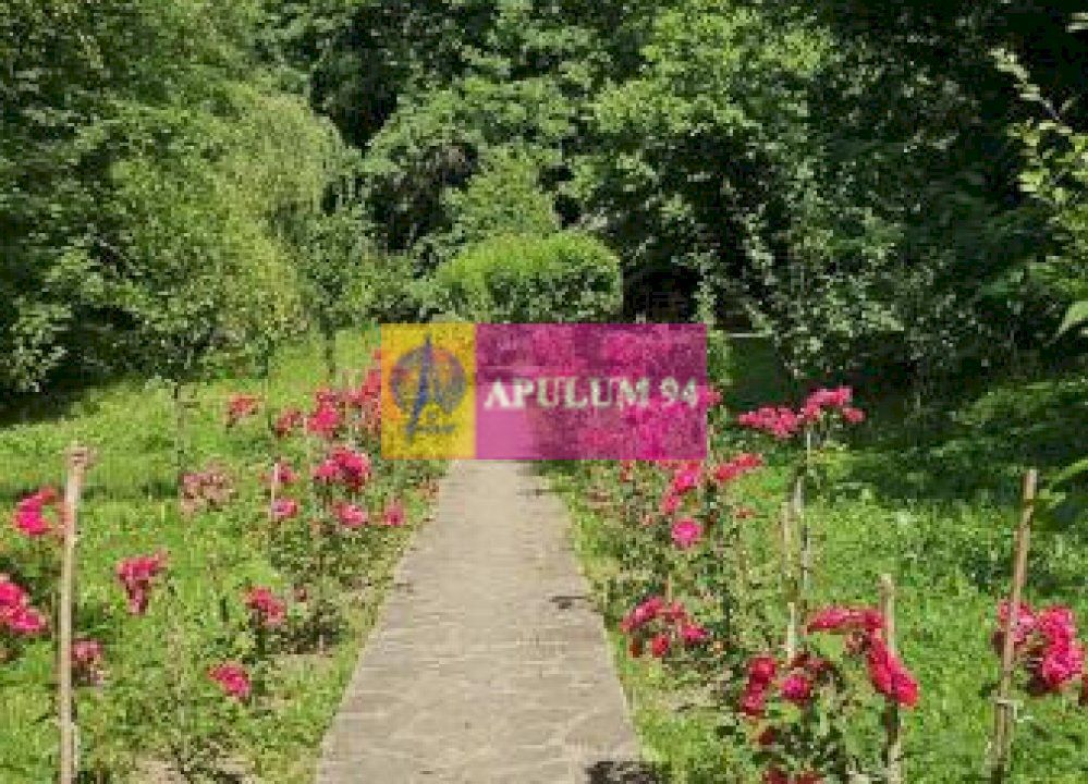 Casă de vânzare în Provița de Jos