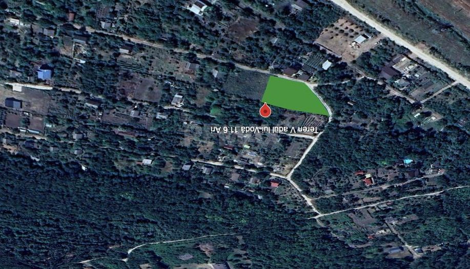 Lot pomicol 12 ari  Vadul lui Vodă - imaginea 3