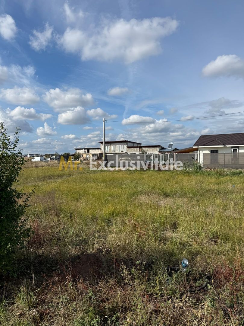 TEREN INTRAVILAN 3 LOTURI | 1.334 MP | BRADU | POTENȚIAL INVESTIȚIONAL - imaginea 3