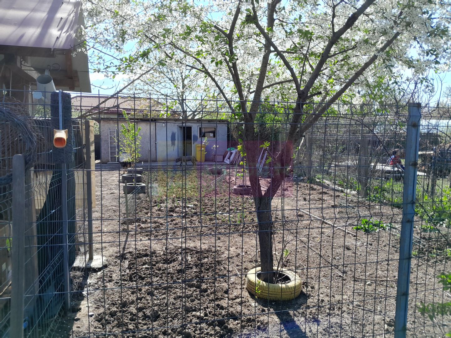 DE VANARE CASA P+M 5 CAM  GIURGIU