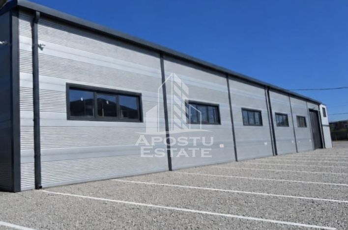 Hala si birouri de inchiriat, 600 mp , zona Mehala - imaginea 3