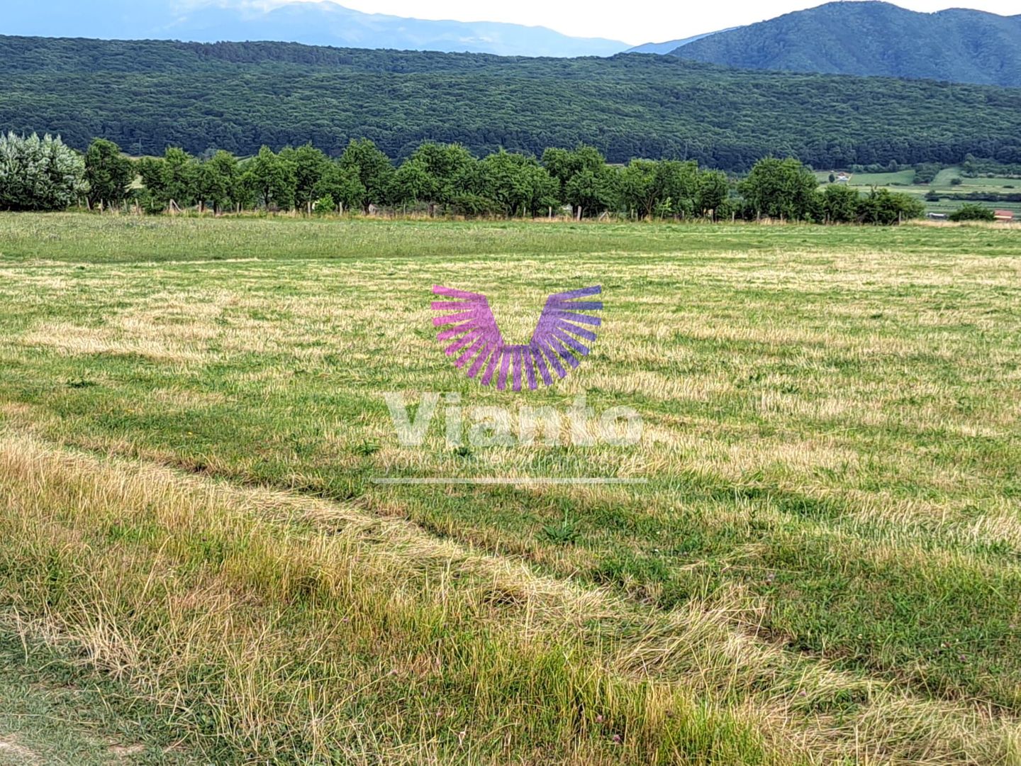 Oportunitate-Teren Extravilan 6200 mp cu vedere Panoramica-Tropinii Noi-Rasinari