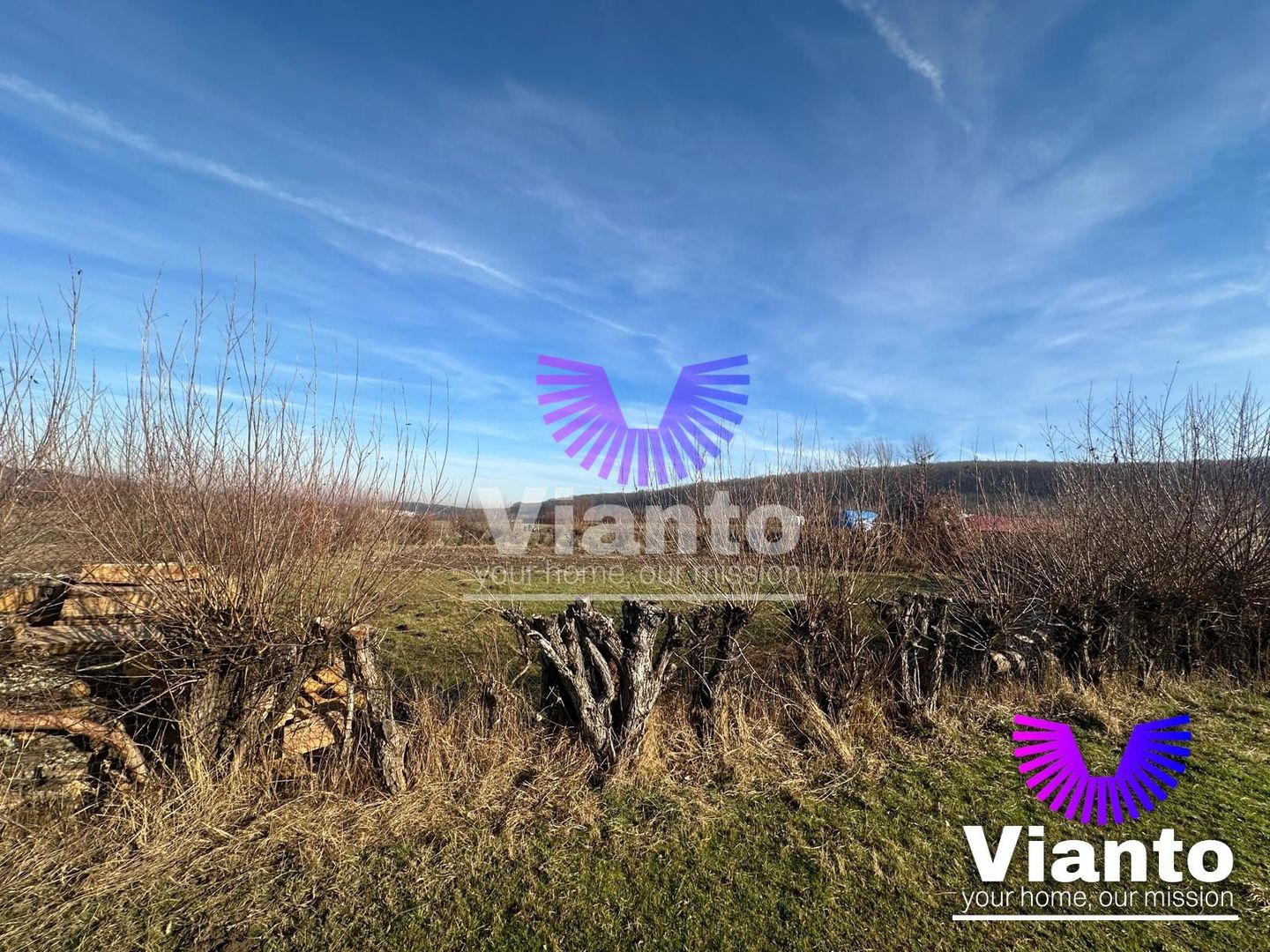 Teren intravilan 500 mp in Rasinari