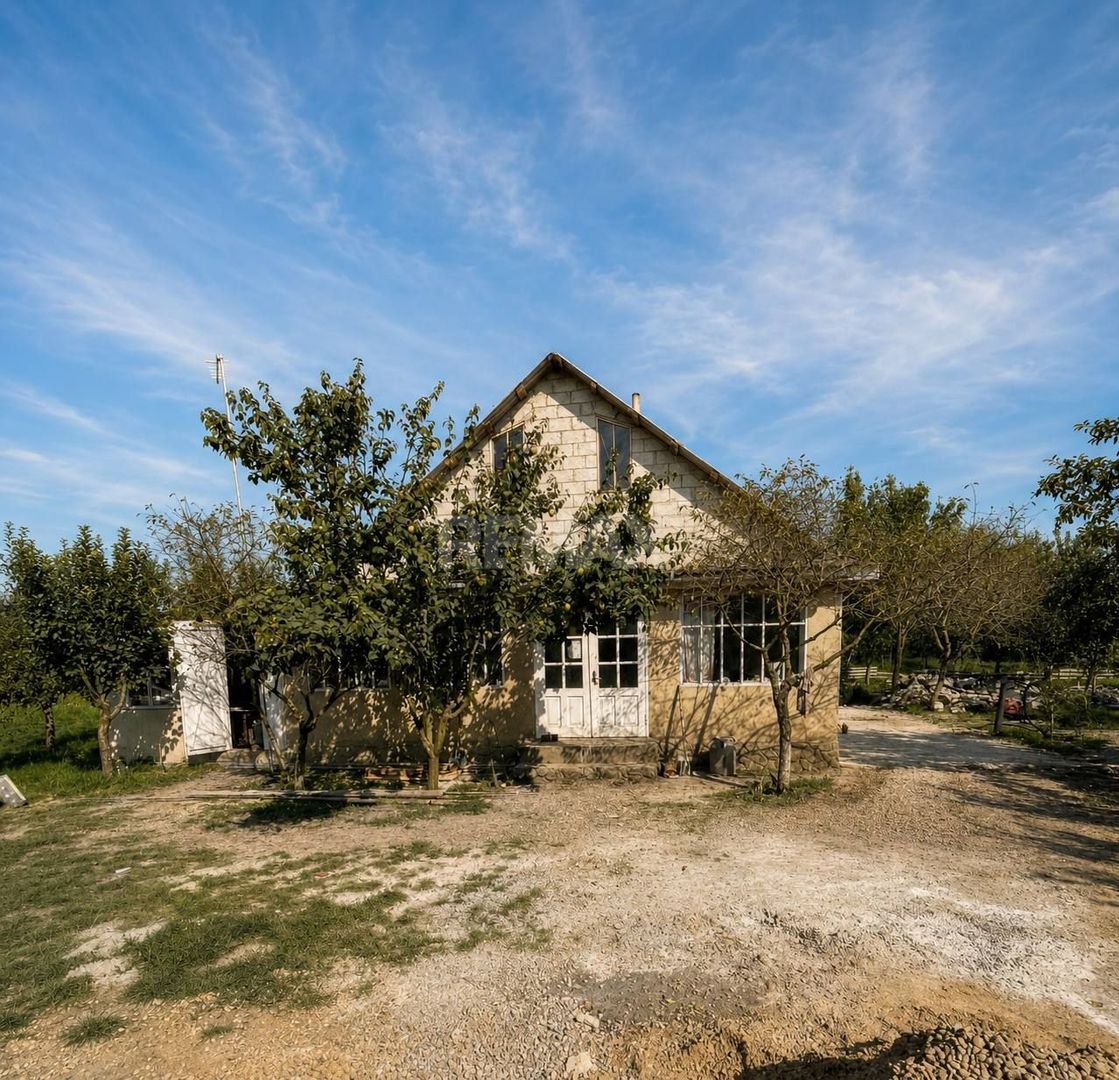 Teren agricol de vânzare – 6,8 hectare cu lac propriu și casă, Nisporeni - imaginea 3