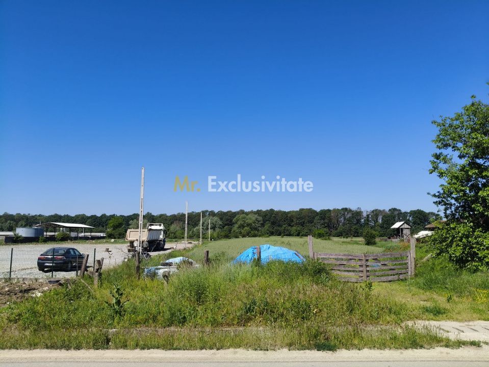 Teren 10.294 mp de vânzare Târgu Jiu | Intravilan + Extravilan | Utilități - imaginea 9
