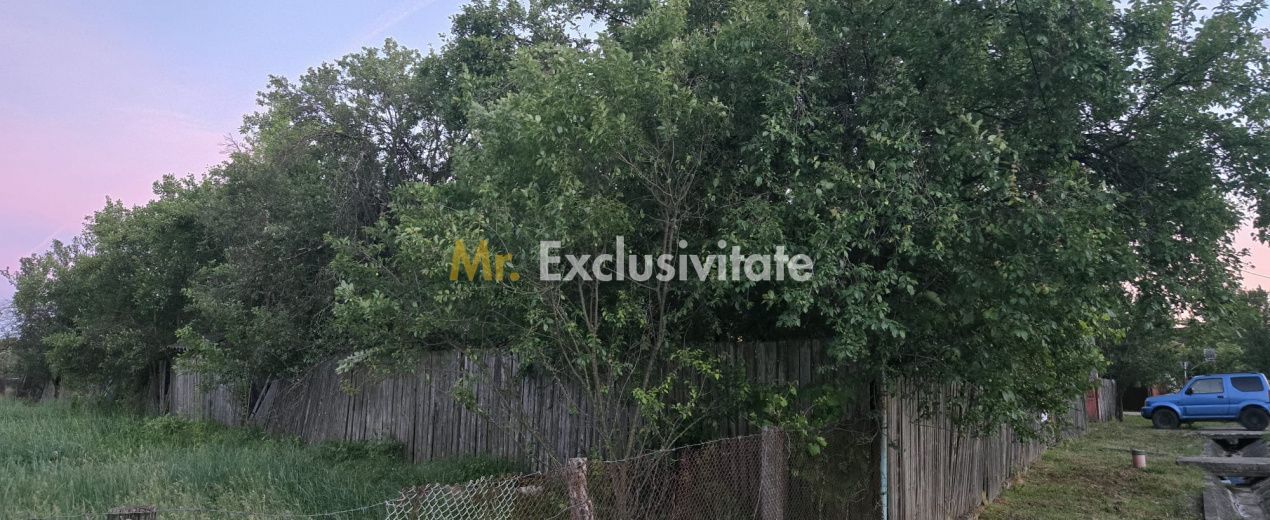 Casă cu 7.769 mp teren și pădure | Budieni | 53.000€ - imaginea 2