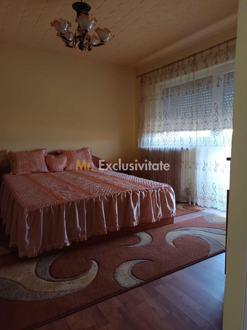 Vilă P+E de vânzare în Valea lui Mihai – 233 mp, teren 733 mp - imaginea 23