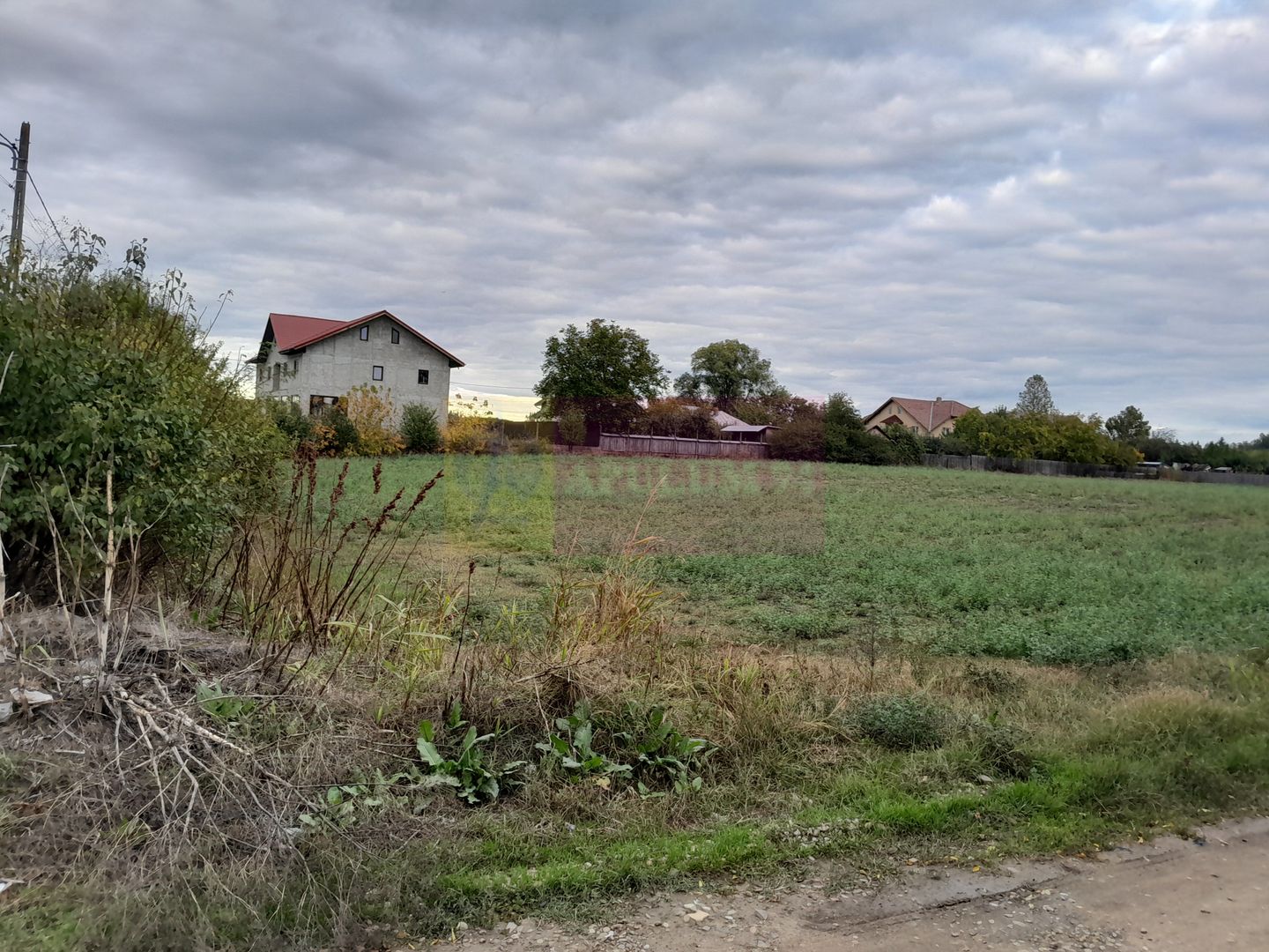 DE VANZARE TEREN 2000 MP  -  COSERENI( il )