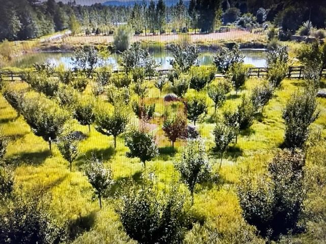 O proprietate de exceptie la Corbi, 18 ha, izvor, lac, pastravarie - imaginea 5
