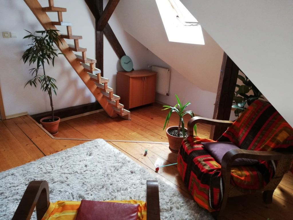 Apartament 4 camere | 175 mp | Bulevardul Victor Babeș | Ideal pentru - imaginea 5