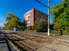 Apartament 3 camere - parter - str. Petru Rares, Gradiste - COMISION 0