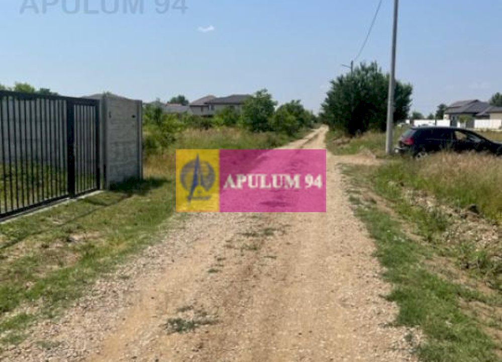 Teren Domnesti- Ciutaci.