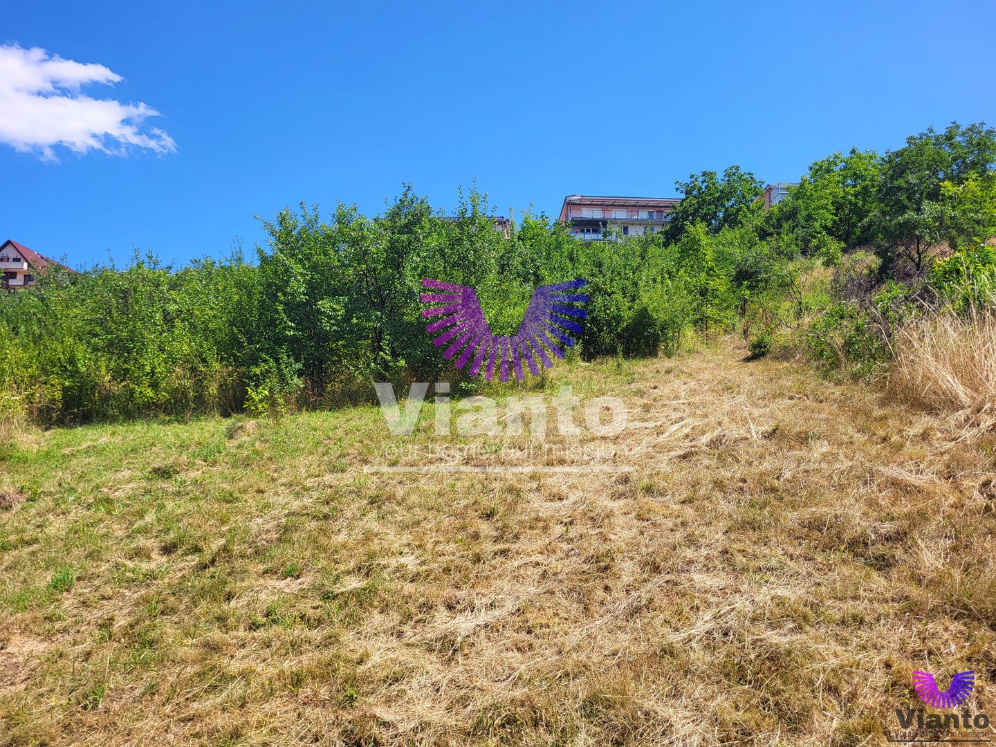 Teren Intravilan 546 mp | Panorama deosebita | PUZ in lucru