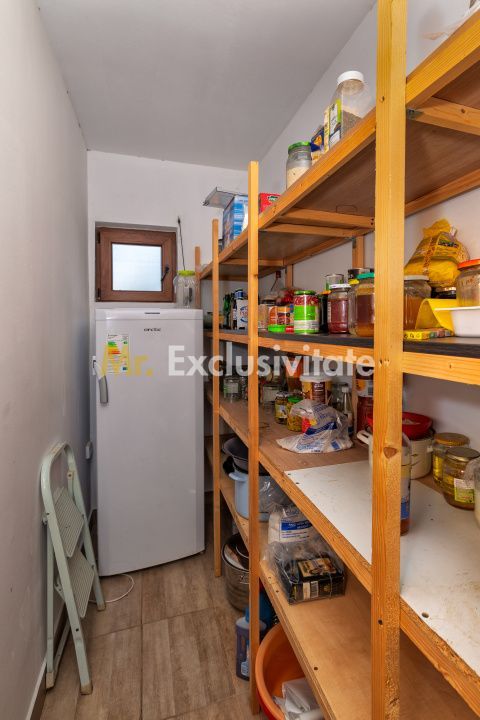 Casa moderna si casa bunicii + 6300 mp teren,Oaza autentica in Corbi Arges- - imaginea 21