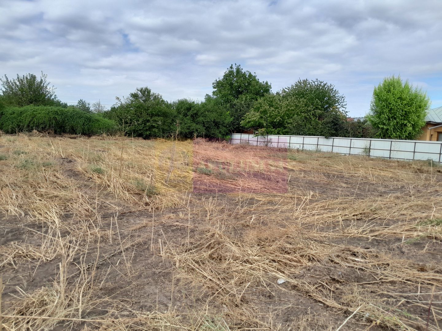 Movilita (IL)-teren de inch. 1800 mp stradal, 30 ml desch, langa Profi