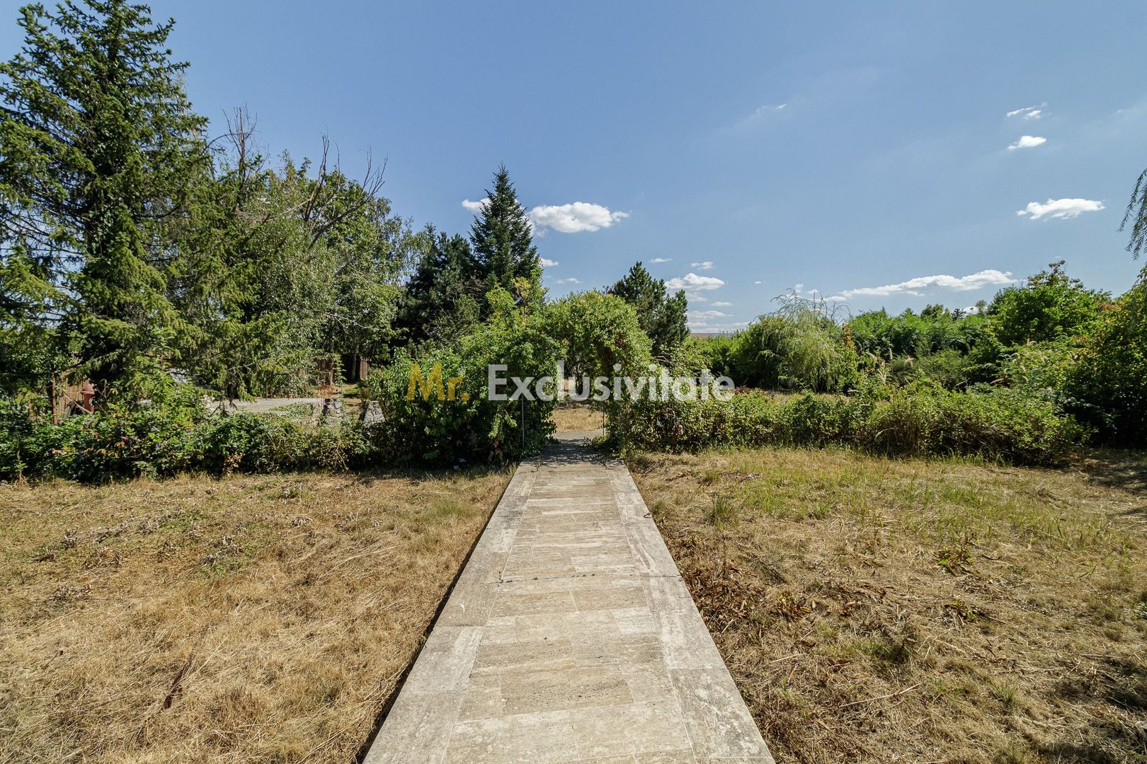 Domeniu privat 5.000 mp, cu reședință de 625 mp și piscină, Corbeanca - imaginea 14