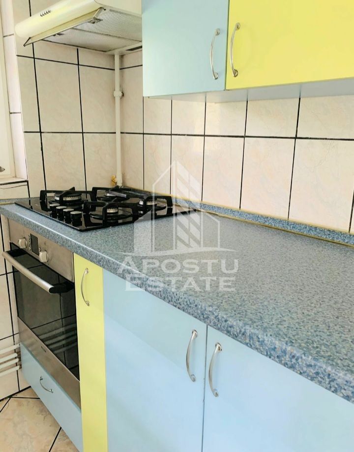Apartament cu 2 camere si living la parter Calea Lipovei - imaginea 7
