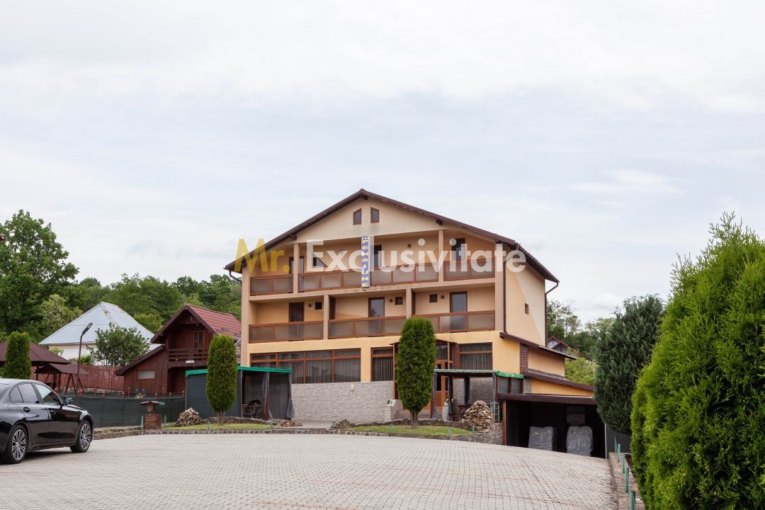 Pensiune 3*** Valea Iasului, Curtea de Arges - imaginea 3