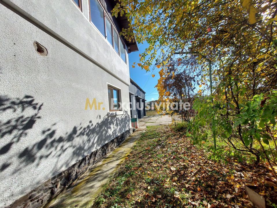 De închiriat: Casa 3 camere si 2 Hale pe 3 000 mp/ Bascov - Argeș - imaginea 7