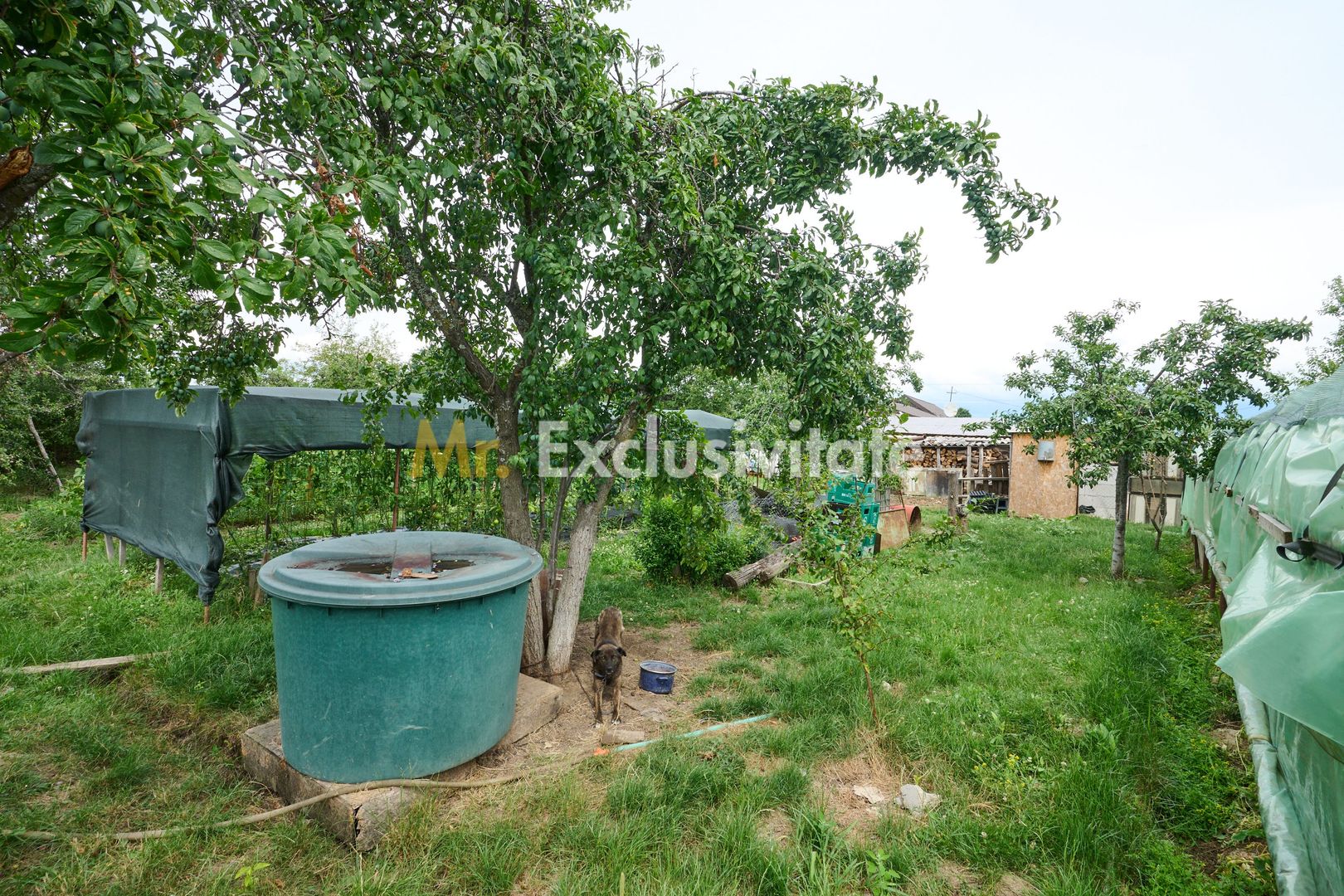 Casă cu teren generos – Vedea-Arges - imaginea 35