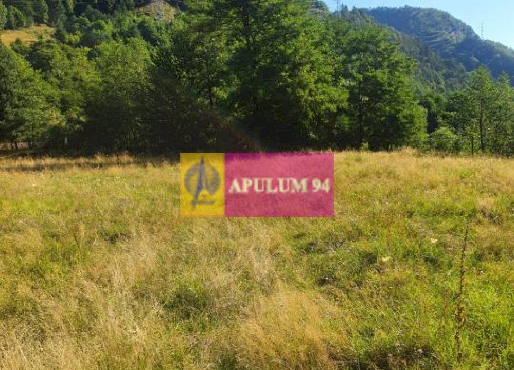 Teren Județul Vâlcea - Brezoi, Valea lui Stan