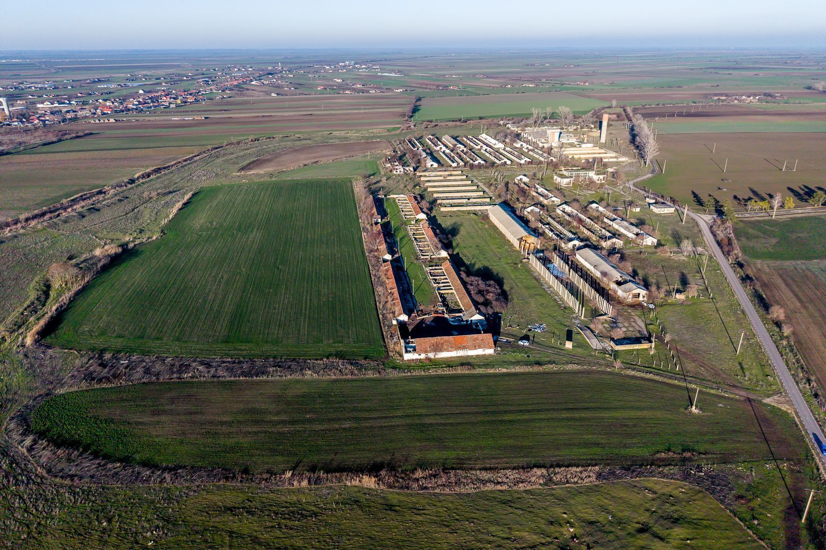 Imagine 2 - NĂDLAC | Teren 1.15 HA lângă Autostradă | 2.500mp Hale