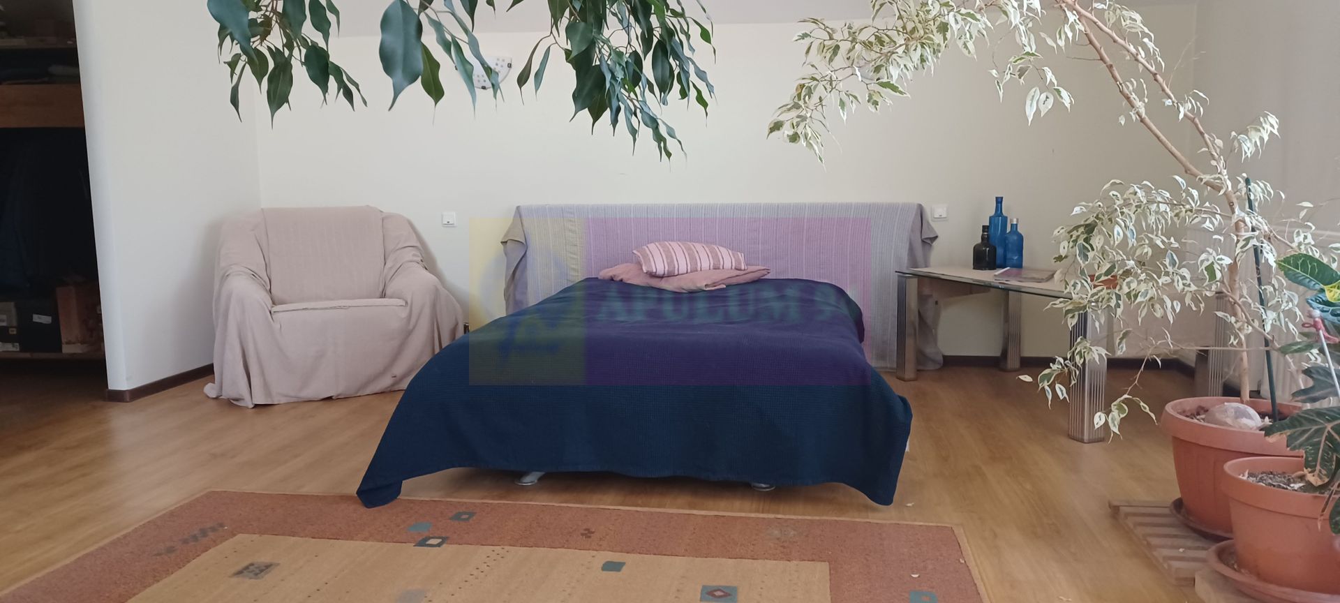 Joița, vilă 5 camere 187 mp utili + garaj, terasă, pivniță, curte 578