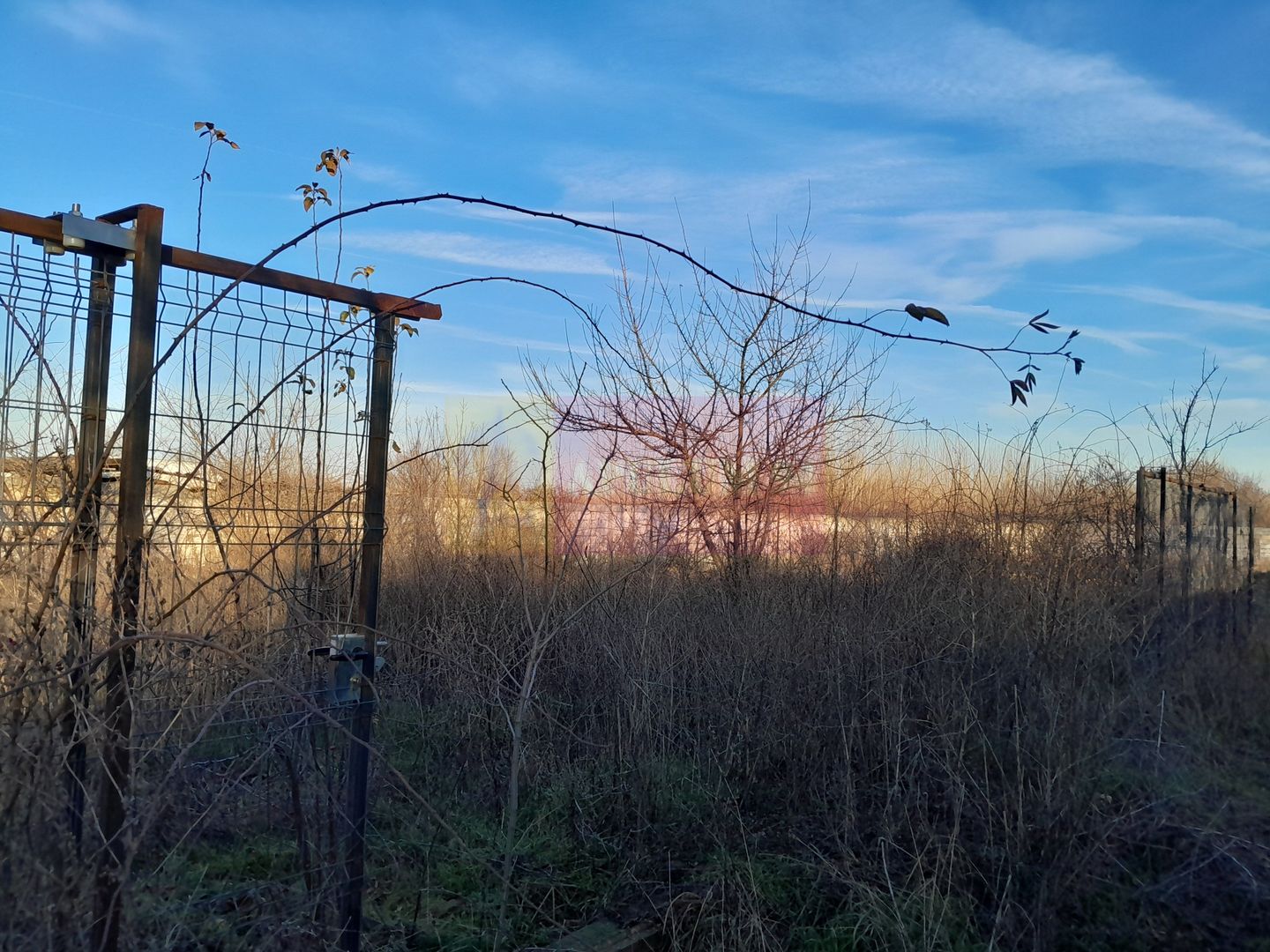 OCAZIE!!! vanzare teren 500 mp Giulesti