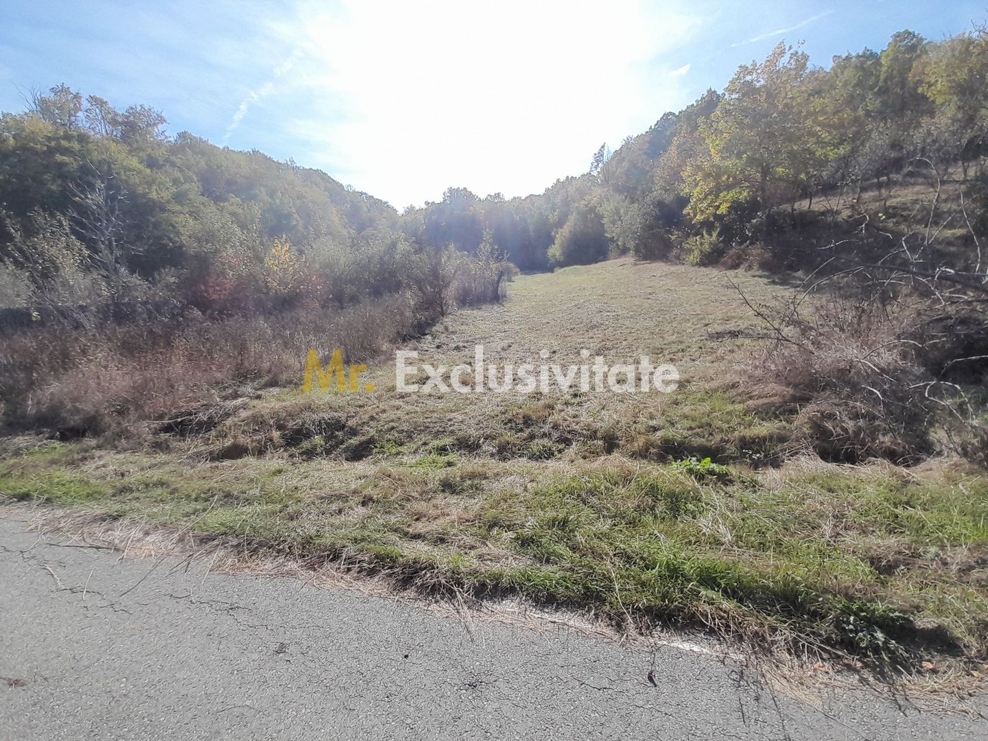 TEREN DE VANZARE IN BABANA, ARGES,  LANGA PADURE - imaginea 5