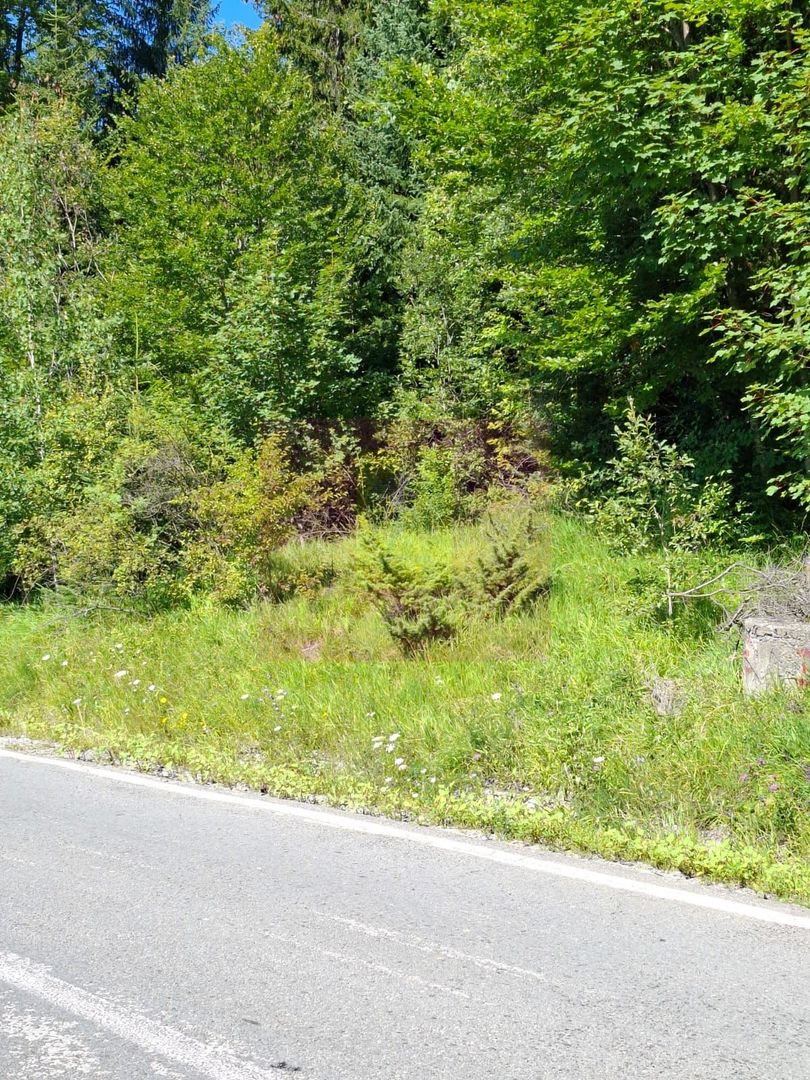 Teren de vânzare în zona Cota 1000 – Sinaia - imaginea 9