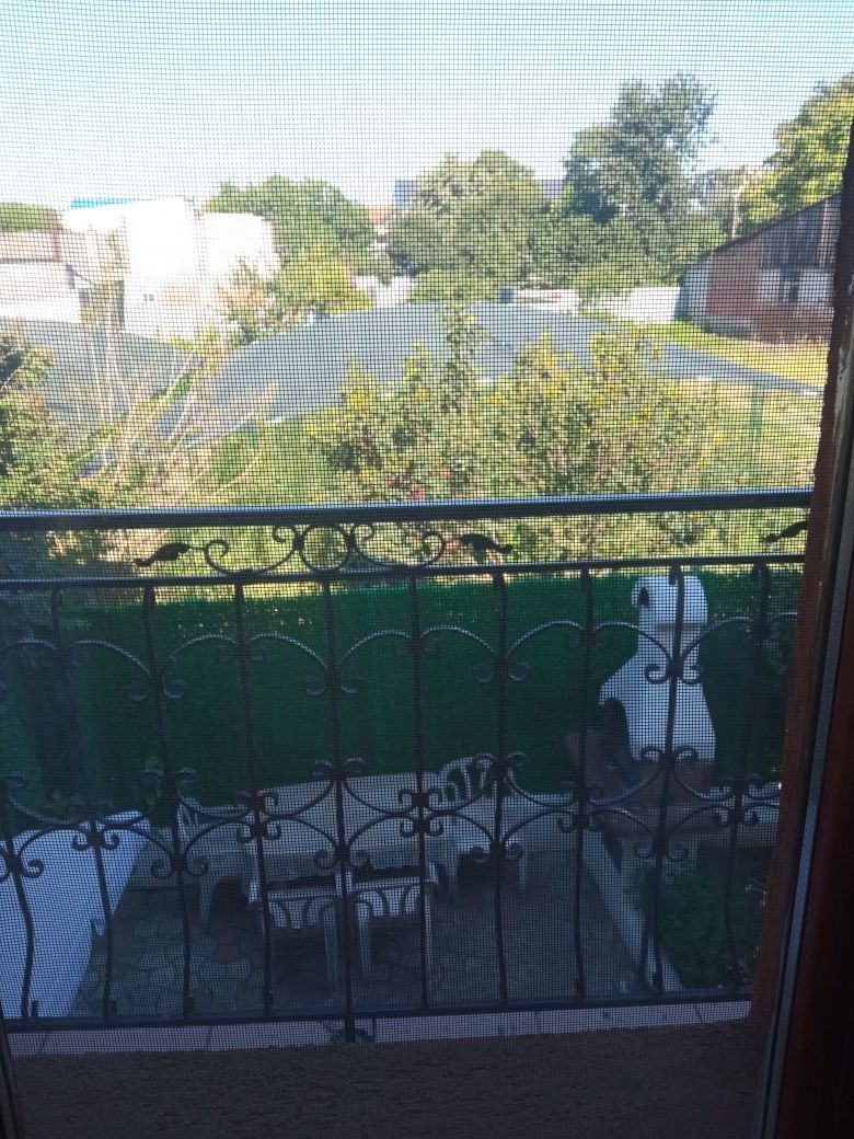 Casă 3 camere, Mazepa 2 - imaginea 4