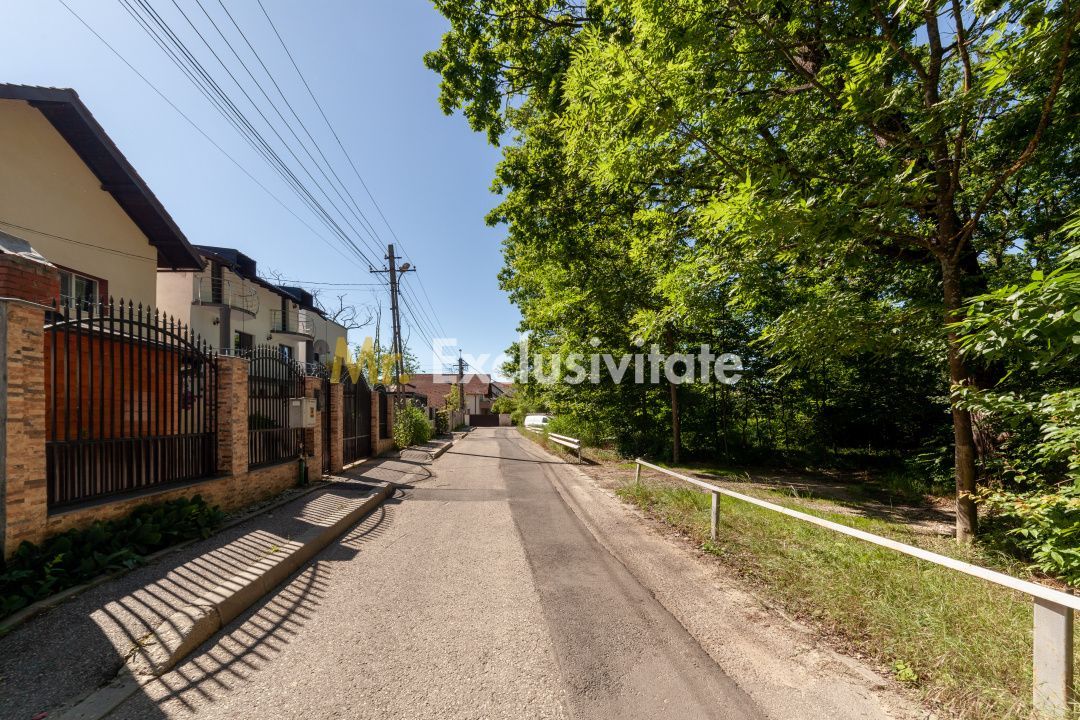 Casa P+M langa Padurea Trivale - imaginea 12