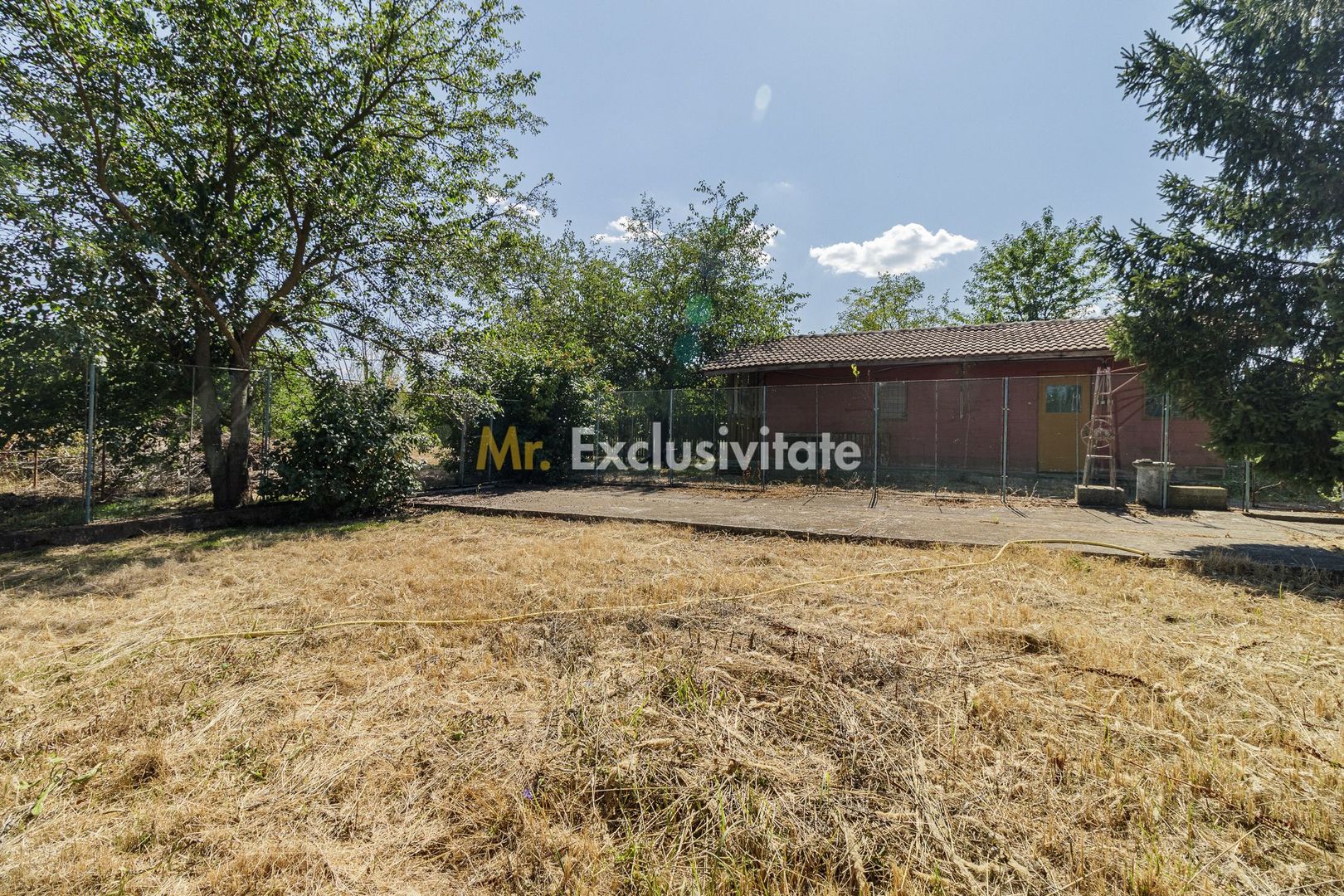 Domeniu privat 5.000 mp, cu reședință de 625 mp și piscină, Corbeanca - imaginea 42